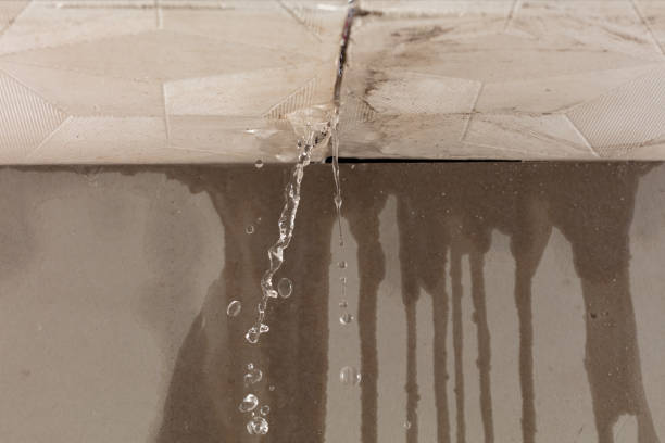 Professional Water Damage Repair technician working in Commerce, TX